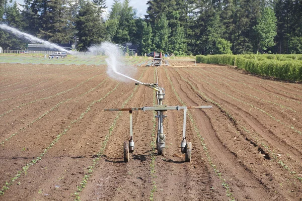 High pressure Irrigation — Stock Photo, Image