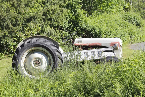 Creative Lawn Ornament — Stock Photo, Image