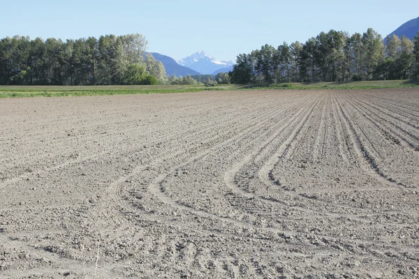 Terreni agricoli agricoli coltivati — Foto Stock