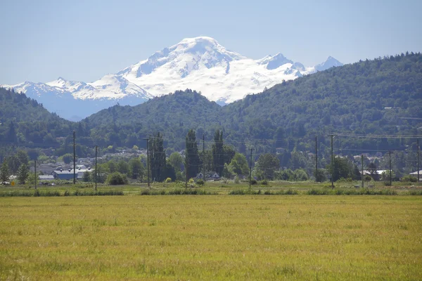 Snow Pack on Mt. Baker Washington — Stock Photo, Image