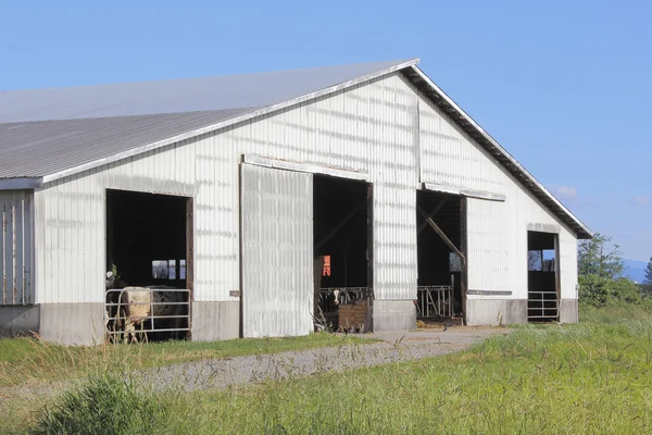 Washington Dairy Barn — Stock Photo, Image