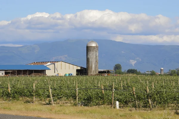 Washington çiftliği Silo peyzaj — Stok fotoğraf