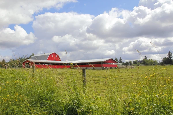 大きな赤い酪農場納屋の風景 — ストック写真