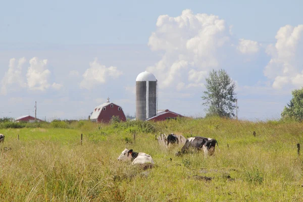 Washington Farm Paisagem — Fotografia de Stock