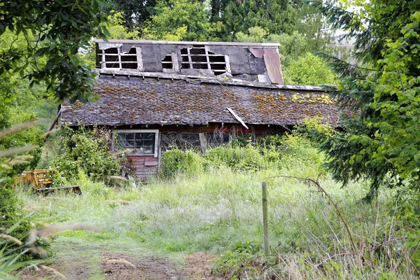 Занедбаної ферми будинку — стокове фото
