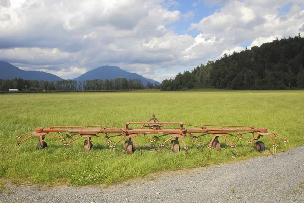 Starožitné Shrnovač a pole — Stock fotografie