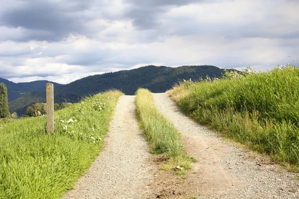 Chemin de campagne en terre et gravier — Photo