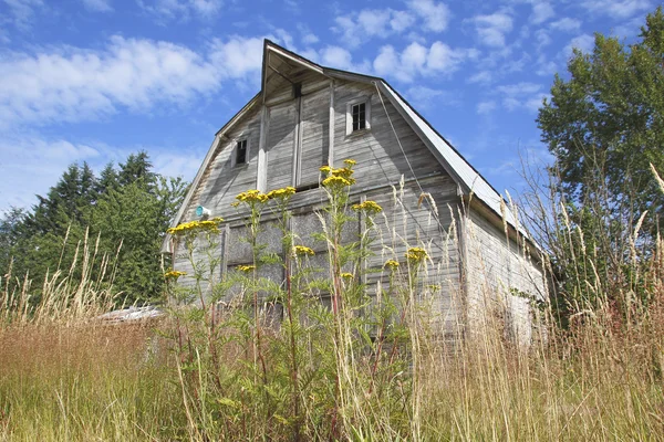 伝統的な木造の納屋や背の高い草 — ストック写真