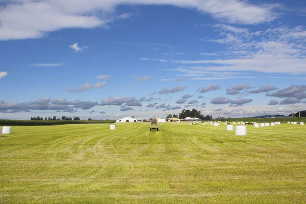 Letní sklizně čas v Fraser Valley — Stock fotografie