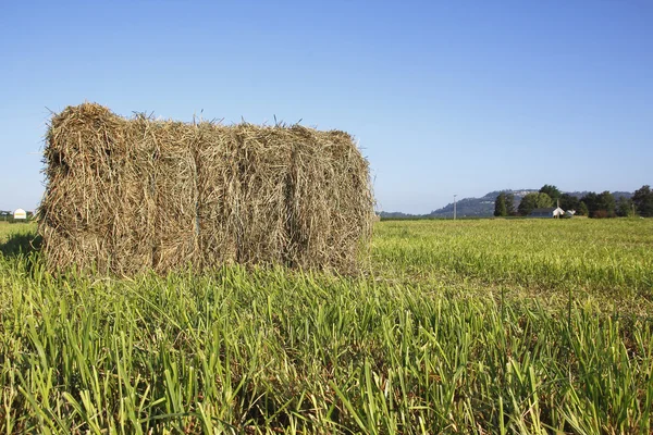 Gebundelde Hay Bale in veld — Stockfoto