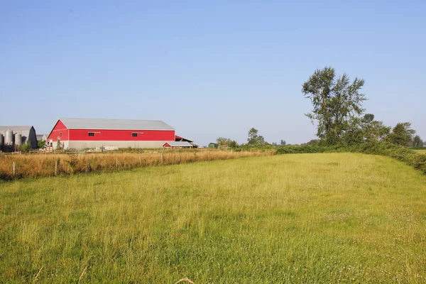 Zadní země krajina — Stock fotografie