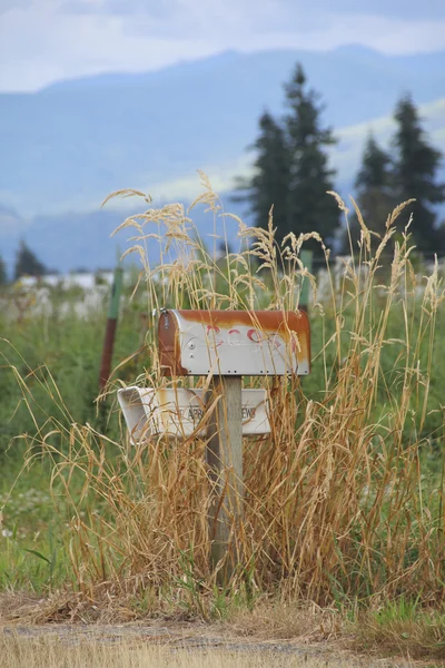 Boîtes aux lettres rurales en zone rurale — Photo