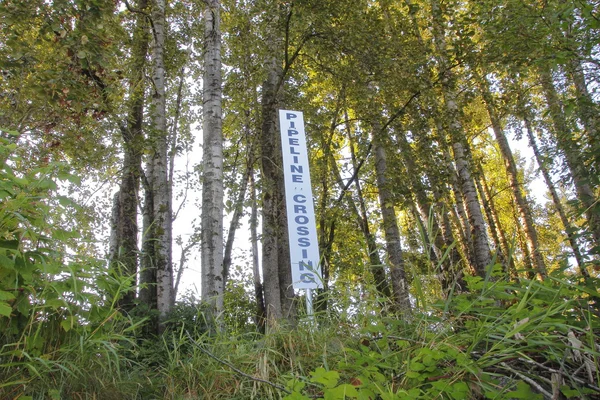 Rörledning som passerar skylten i skogen — Stockfoto