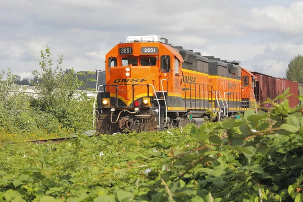 Tren de carga BNSF en Canadá — Foto de Stock
