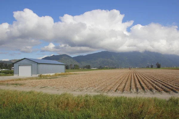 Changer les cultures agricoles — Photo