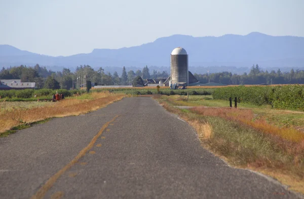 Ruta rural y paisaje de Washington — Foto de Stock