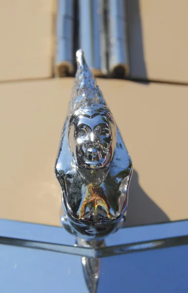 Gatby Gabrolia Hood Ornamento — Fotografia de Stock