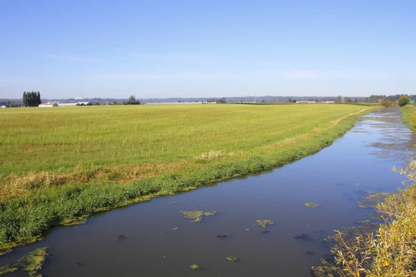 Jordbruks kanaler för sommarens torka — Stockfoto