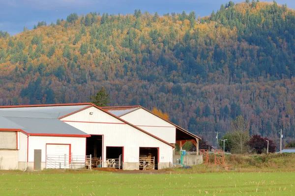 Bâtiment Laitier Moderne Dans Une Vallée Bétail Attend Être Nourri — Photo