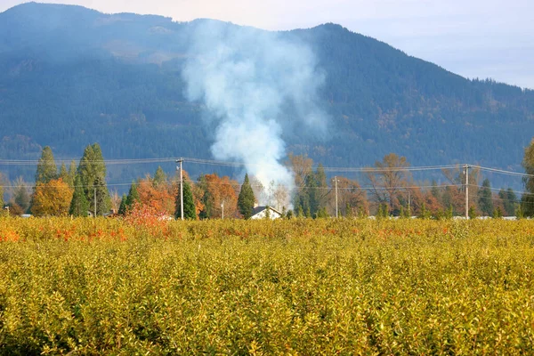 Sonbahar Hasat Hazırlıkları Sırasında Tarımsal Açıklığın Yakıldığı Kırsal Alana Doğru — Stok fotoğraf