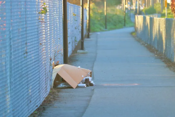 Noggrann Bild Bostadslös Person Som Sover Ett Pappark Allmän Väg — Stockfoto