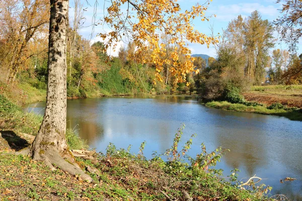 Szeroki Widok Krętego Potoku Widzianego Jesienią — Zdjęcie stockowe