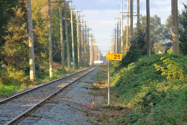 技術者識別のための金属記号上の列車の軌道番号の広いビュー — ストック写真