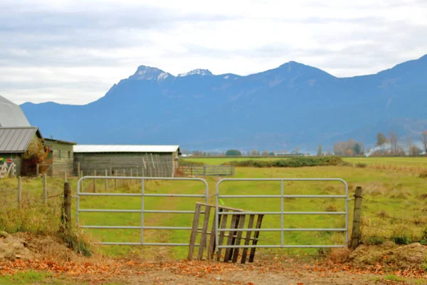 Breed Zicht Een Metalen Poort Die Uitkomt Een Landelijk Bergachtig — Stockfoto