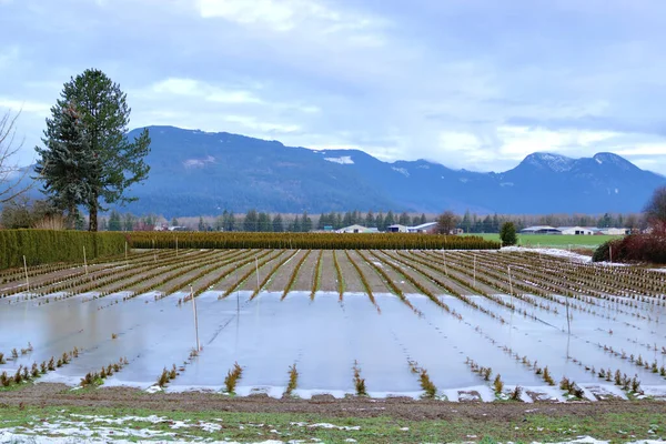 Landscape View Agricultural Farm Land Winter Months Heavy Rains Have — Stock Photo, Image