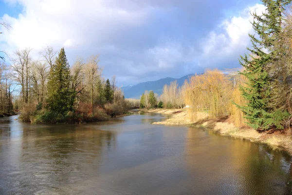 Vue Large Canal Croissance Naturelle Mature Pendant Saison Hivernale — Photo