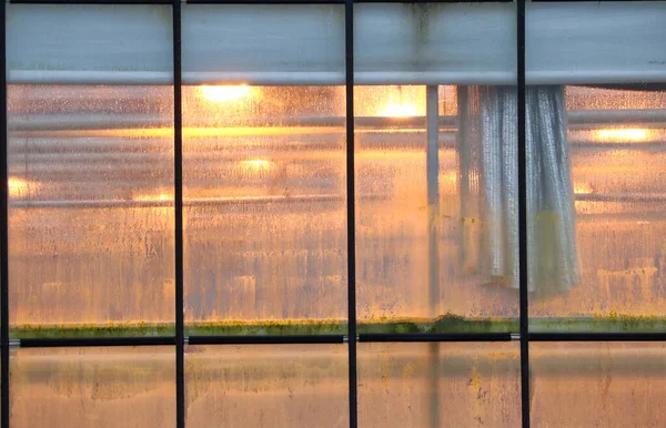 Außenansicht Des Gewächshauses Wachsen Lichter Leuchten Gelb Durch Die Regen — Stockfoto