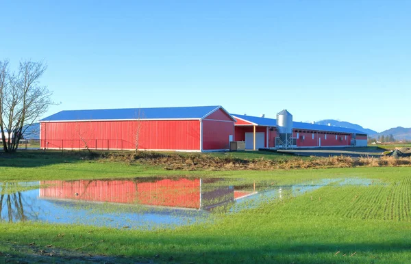 Våt Säsong Och Pooler Vatten Står Mättad Jordbruksmark — Stockfoto