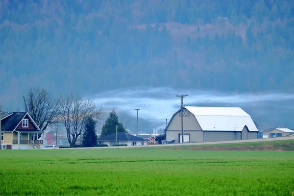 Low Ceiling Morning Fog Hangs Typical Farm Found North America — Stock Photo, Image