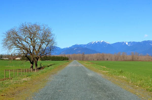 Wide Landscape View Narrow Straight Country Farm Road Mountains Distance — Stock Photo, Image