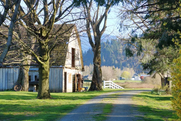 Profile Portrait Old Barn Driveway Early Spring Season — Stock Photo, Image