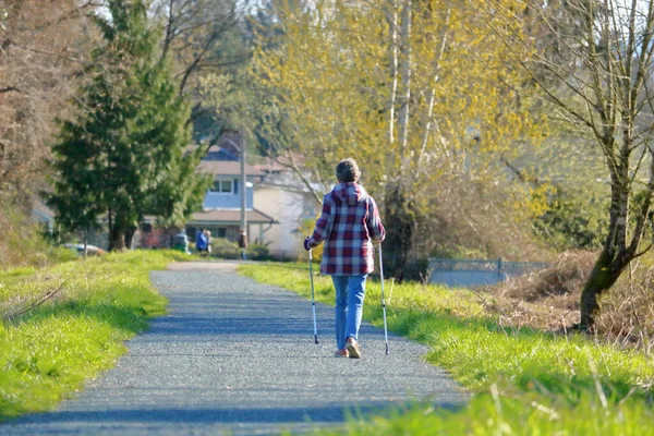 一个中年妇女在户外小径上行走时 用手杖帮助她的全景 — 图库照片