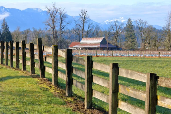 Breed Uitzicht Een Gevestigde Traditionele Noord Amerikaanse Boerderij Hectare Beschermd — Stockfoto