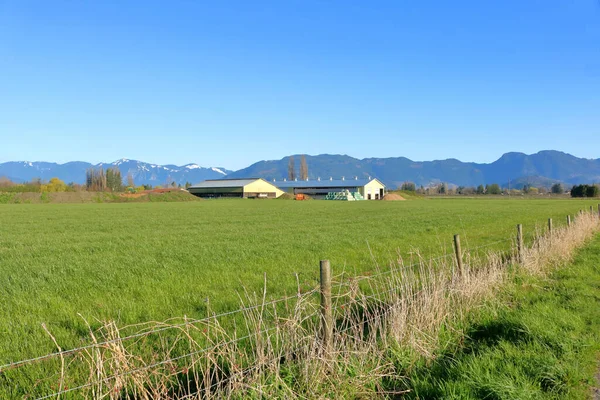 Fraser Valley Gyepterület Téli Hónapokban Brit Kolumbia Délnyugati Részén Kanadában — Stock Fotó