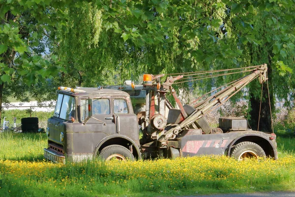 Vista Pieno Profilo Carro Attrezzi Degli Anni Seduto Letto Ranuncoli — Foto Stock