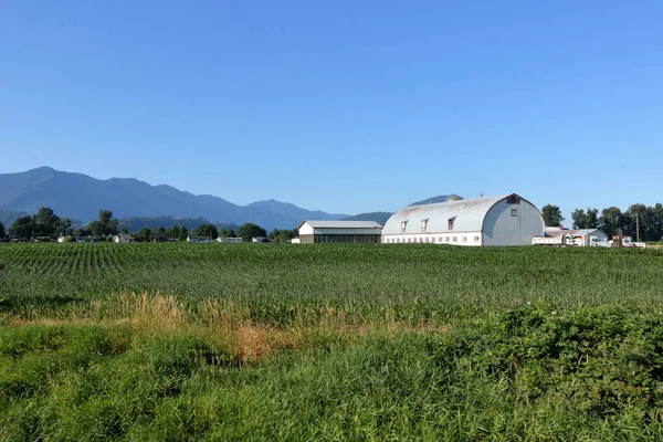 Vue Large Une Ferme Avec Une Grande Grange Toit Berceau — Photo