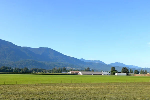 Landscape View Farm Land Grassland Eastern Fraser Valley Agassiz British — Stock Photo, Image