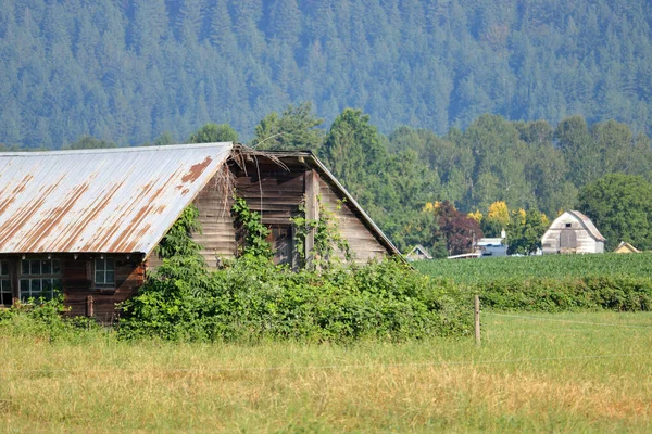 夏の間に見られる木枠と板金屋根の古い 伝統的な鶏の家の4分の3のプロフィールビュー — ストック写真