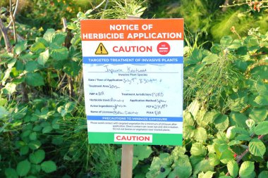 Close, detailed view of a sign posted in a thick cluster of wild weeds and shrubs warning the public that the evasive weed, Japanese Knotweed and the surrounding area, has been sprayed with chemicals.  clipart