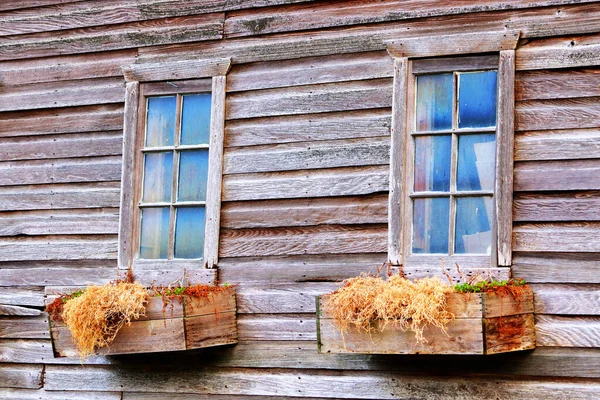 Close Detailed Colorized Weathered Wood Siding Two Rustic Windows Planter — Stock Photo, Image