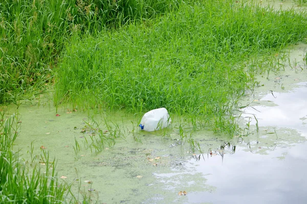 像有人把一个空的奶瓶扔进沼泽地那样乱扔乱放 污染环境 — 图库照片