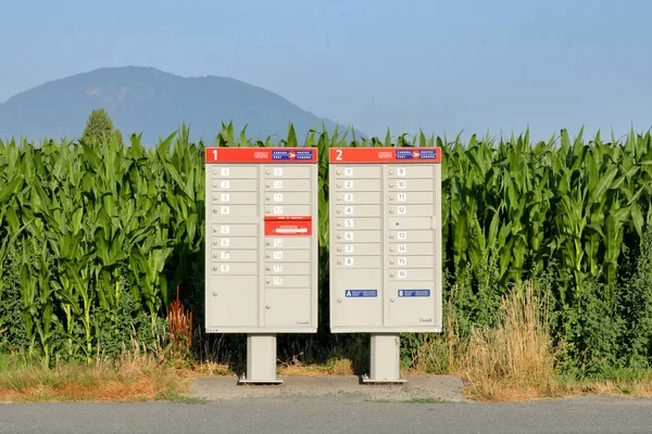 Vue Générale Deux Boîtes Postales Rurales Canadiennes Situées Côté Une — Photo