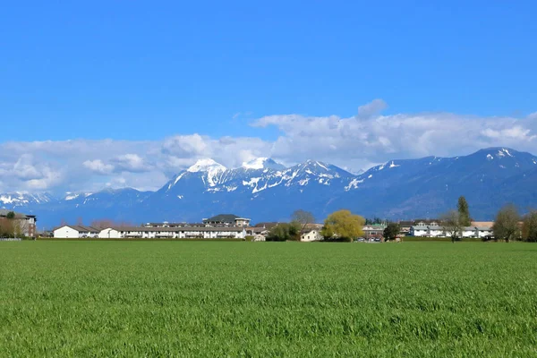 Sardis Brits Columbia Canada Het Wijd Open Landbouwgrasland Besneeuwde Canadese — Stockfoto