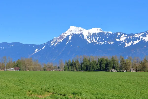 Monte Cheam Cobertura Neve Pesada Com Vista Para Área Agrícola — Fotografia de Stock