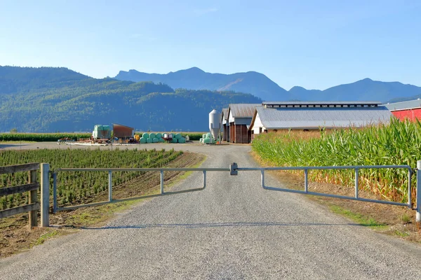 夏の間 山間の谷の農場への金属の広い景色 スイングゲート入り口 — ストック写真