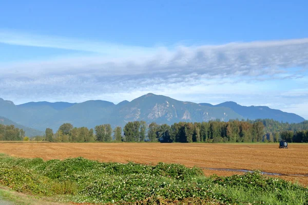 Ampia Veduta Paesaggistica Azienda Agricola Rurale Una Splendida Valle Durante — Foto Stock